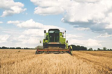 Building trust in international trade