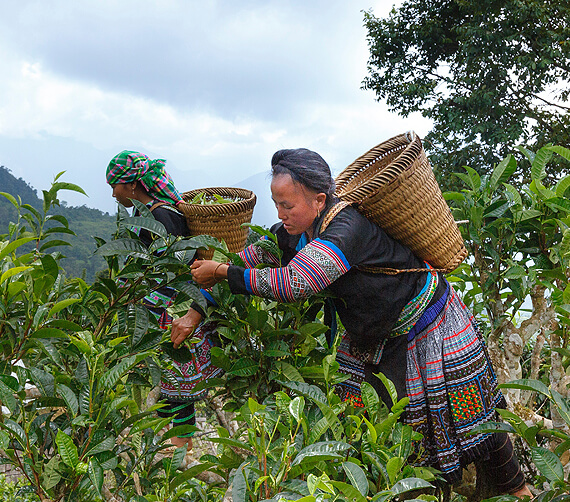 Natural Resources Trading