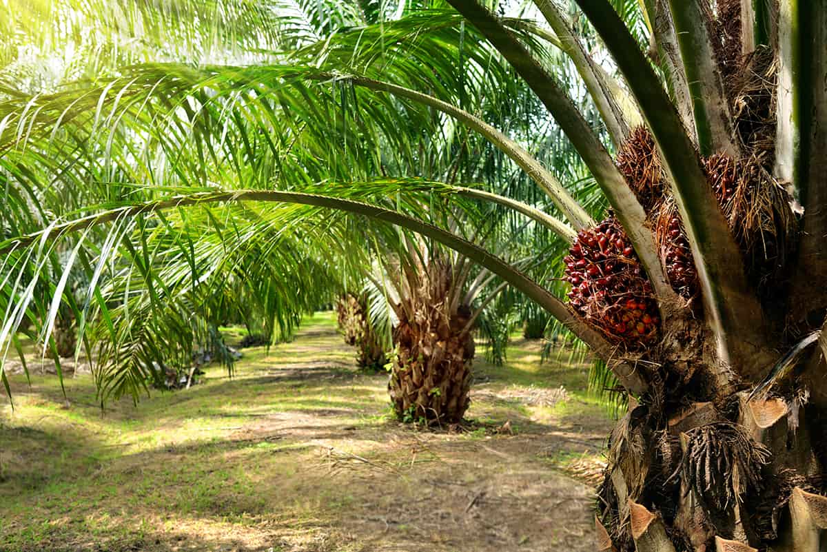 Shipping and logistics for natural resources
